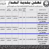 إنشاء وترميم وتشغيل وصيانة النقل البري للبضائع