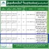 انشاء و تشغيل و صيانة مطاعم ومقاهي وكافيهات