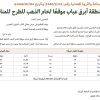 قرار وزير الصناعة والثروة المعدنية رقم (141/‏1‏/1446) وتاريخ 04-01-1446هـ