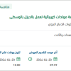 إعادة تأهيل أنظمة التوربينات وربطها