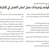 قرار مجلس الوزراء رقم (863) وتاريخ 25-11-1447هـ
