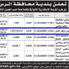 إنشاء وتشغيل وصيانة موقع مخصص لركوب الخيل ‏