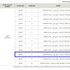 استثمار مخطط رقم (248) أرض فضاء تجاري سكني