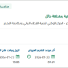 معالجة التشوهات البصرية للمتنزهات بحائل