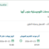 صيانة الطرق المستلمة من وزارة النقل جنوب أبها