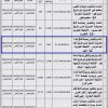 إنشاء وتشغيل وصيانة كافي رقم 3 بحديقة المصيف
