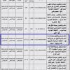 إنشاء وترميم وتشغيل ساحة ألعاب بحديقة طويق