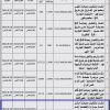 إنشاء وتشغيل مركز خدمة سيارات بحي السلام