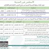 إنشاء وتشغيل حديقة تقاطع طريق الإمام ابن ماجه