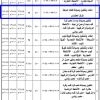 إنشاء وتشغيل كشك حديقة المركز الحضاري