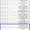 تشغيل وصيانة ملعب كرة قدم وكرة طائرة خيم