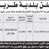 تشغيل وصيانة حديقة وملعب وسط المحافظة