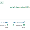 توريد أجهزة الاتصالات اللاسلكية  بميناء رأس الخير
