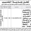 تعديل  - ترميم و تشغيل وصيانة حديقة منتزة
