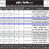إنشاء وتشغيل وصيانة محلات تجارية الرفعية