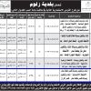 إنشاء وتشغيل وصيانة قصر طلعة عمار