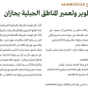 قرار مجلس الوزراء رقم (222) وتاريخ 28-02-1448هـ