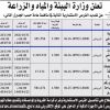 تمديد - استثمار المدينة النحلية بمحافظة بلجرشي