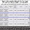 تمديد -  استثمار مدينة الزيتون بمحافظة بلجرشي