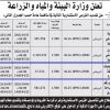 تمديد - استثمار مركز لمعالجة متبقيات النخيل