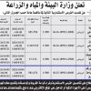 تمديد -  استثمار مدينة البن موقع رقم (2) بالمندق