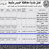 إعادة تأهيل وتشغيل كشك (بوفيه) بحي الشعبة