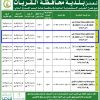 إنشاء وتشغيل مصنع مياه بالقطعة رقم (10/م ب)