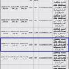 إنشاء وتشغيل مجمع محلات تجارية بمخطط 466 رقم (1)