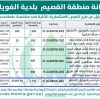 تشغيل وصيانة ملعب كرة قدم بالفويلق