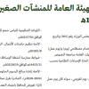 قرار مجلس إدارة الهيئة العامة للمنشآت الصغيرة والمتوسطة رقم (26/3102) وتاريخ 05-02-1448هـ
