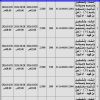 إنشاء وتشغيل وترميم شاليه ومنتجع رقم (2)