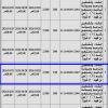 إنشاء وتشغيل وترميم شاليه ومنتجع رقم (8)