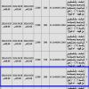 إنشاء وتشغيل وترميم شاليه ومنتجع رقم (7)