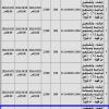 إنشاء وتشغيل وترميم شاليه ومنتجع رقم (9)