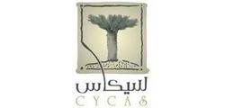 cycas